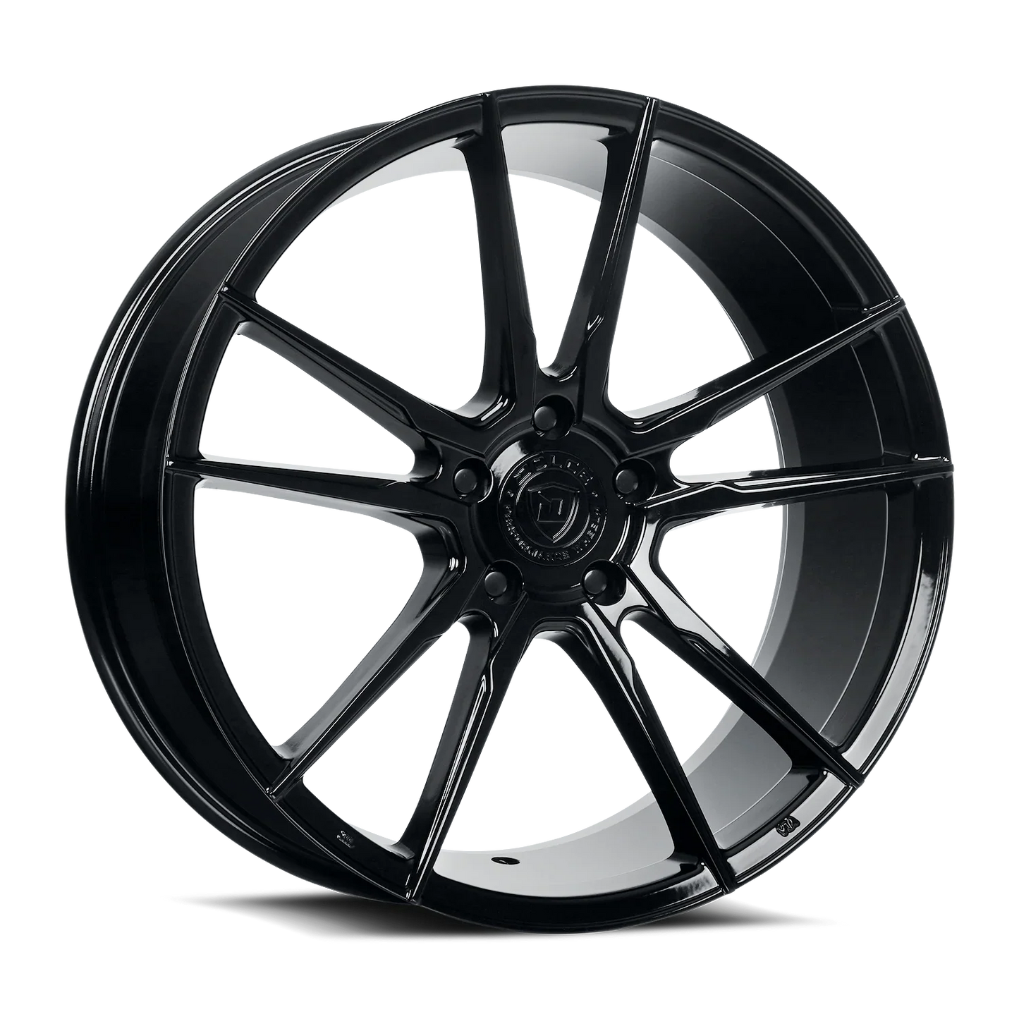 DOLCE PERFORMANCE VAIN GLOSS BLACK